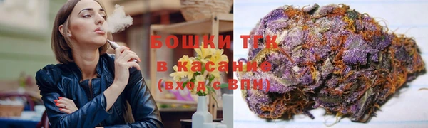 ALPHA PVP Инсар