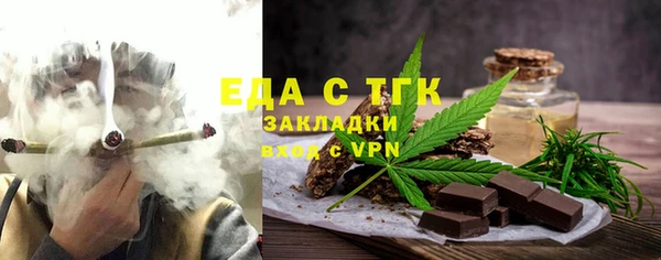 spice Инта