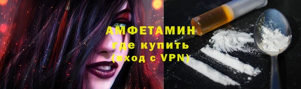 spice Инта