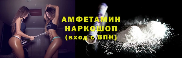 spice Инта