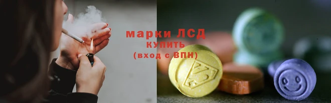 spice Инта