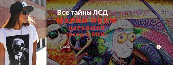 spice Инта
