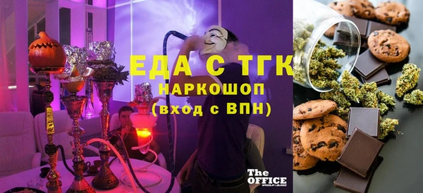 spice Инта