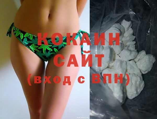 spice Инта