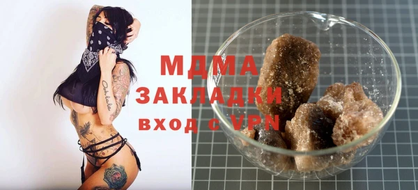 spice Инта