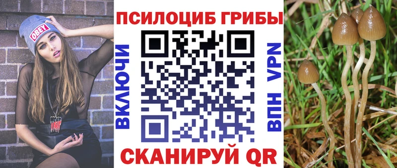 Купить где  Нижний Тагил  Галлюциногенные грибы ЛСД 